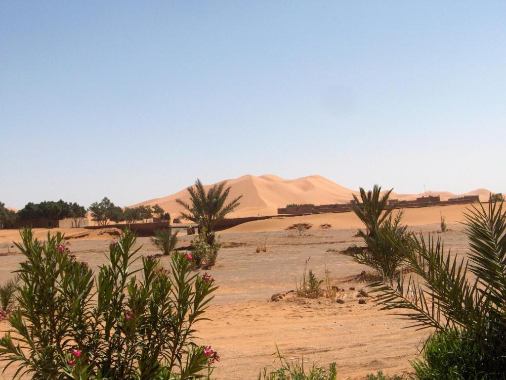 Auberge Africa Merzouga Luaran gambar