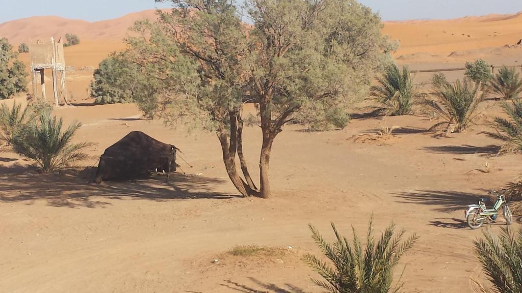 Auberge Africa Merzouga Luaran gambar