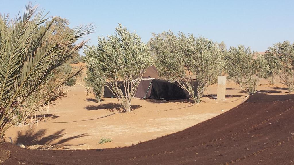 Auberge Africa Merzouga Bilik gambar