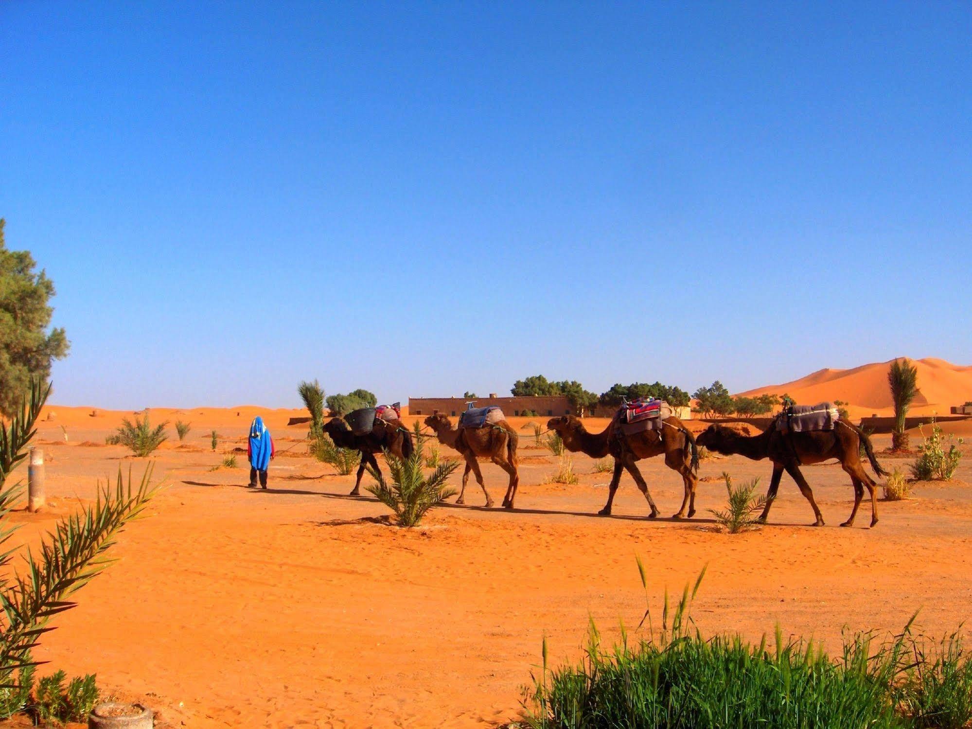 Auberge Africa Merzouga Luaran gambar
