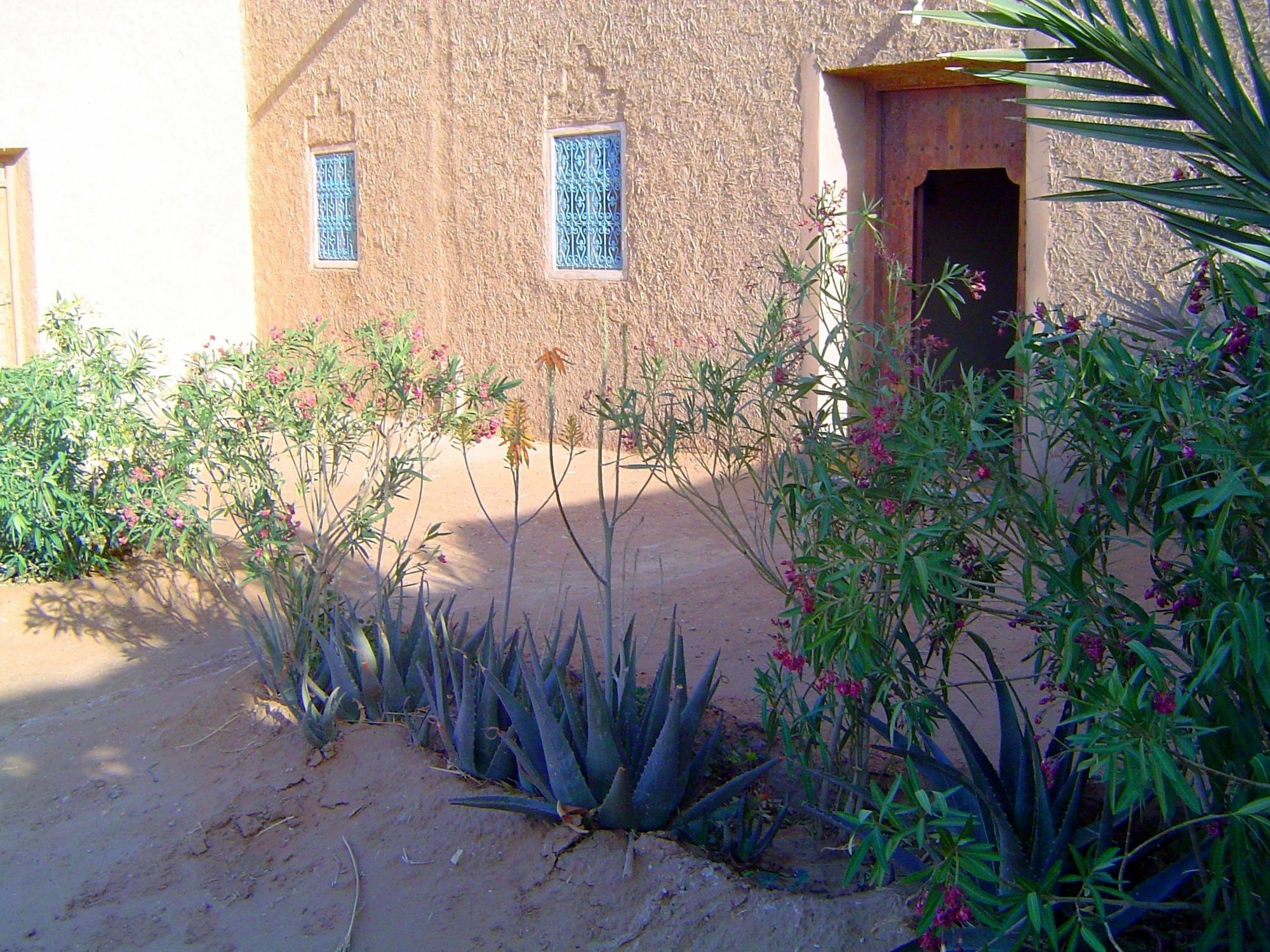 Auberge Africa Merzouga Luaran gambar